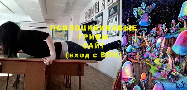 ПСИЛОЦИБИНОВЫЕ ГРИБЫ Горнозаводск