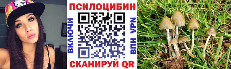 Псилоцибиновые грибы Cubensis Таганрог