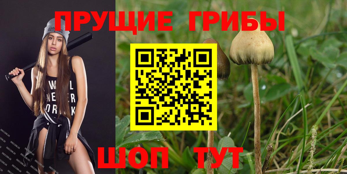 Таганрог  купить наркотики цена  Вход с VPN  Псилоцибиновые грибы Magic Shrooms 